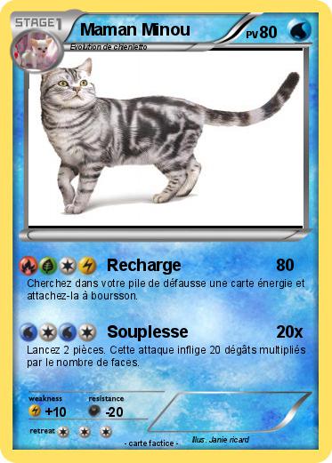 Pokemon Maman Minou