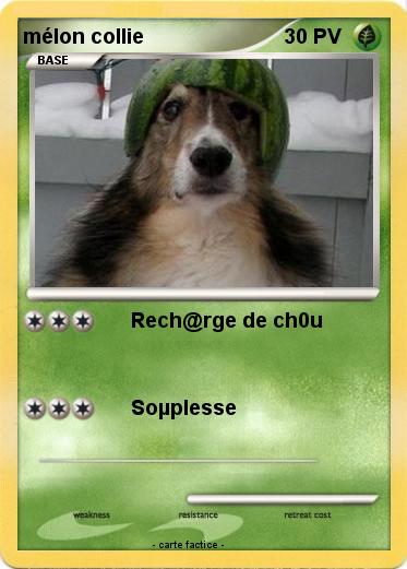 Pokemon mélon collie