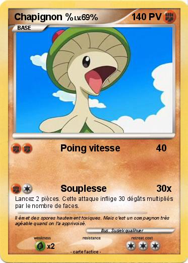 Pokemon Chapignon %