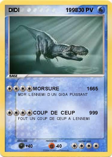 Pokemon DIDI                              1998