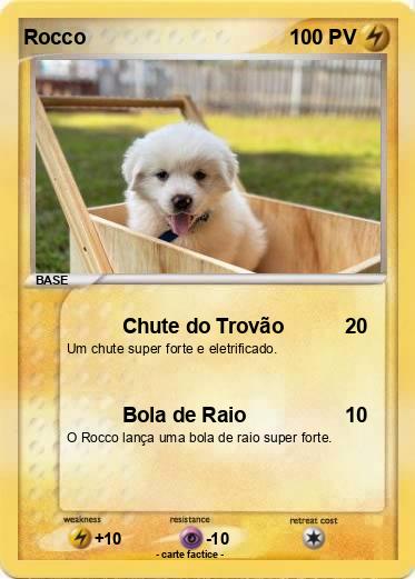 Pokemon Rocco