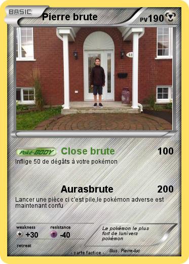 Pokemon Pierre brute