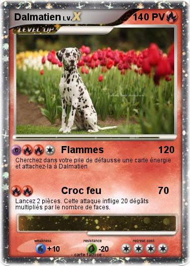 Pokemon Dalmatien
