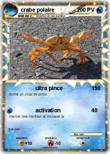 Pokemon crabe polaire