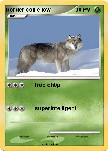 Pokemon border collie low