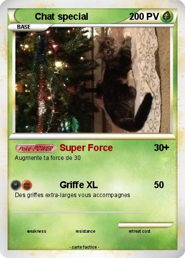 Pokemon Chat special