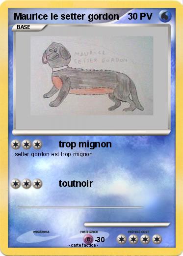 Pokemon Maurice le setter gordon