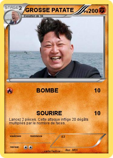 Pokemon GROSSE PATATE