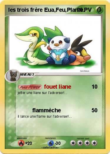 Pokemon les trois frère Eua,Feu,Plante.