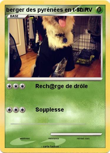 Pokemon berger des pyrénées en t-shirt