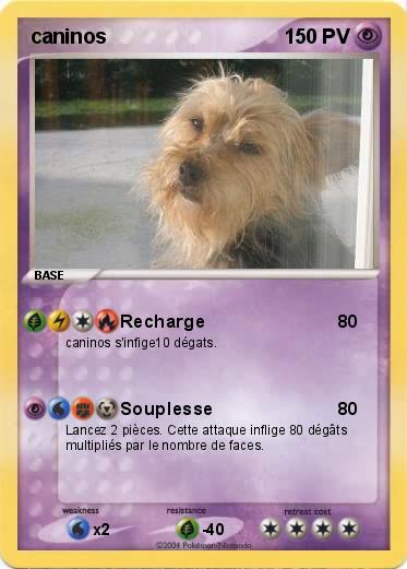 Pokemon caninos