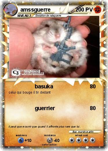 Pokemon amssguerre