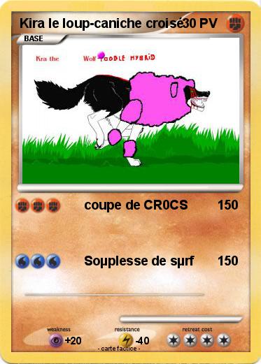 Pokemon Kira le loup-caniche croisé