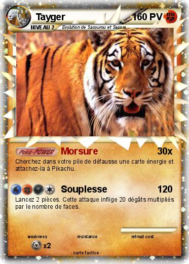 Pokemon Tayger