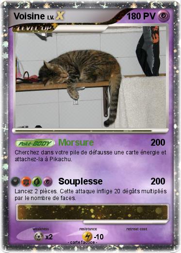 Pokemon Voisine