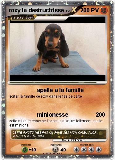 Pokemon roxy la destructrisse