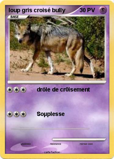 Pokemon loup gris croisé bully