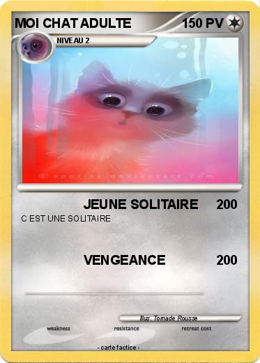 Pokemon MOI CHAT ADULTE