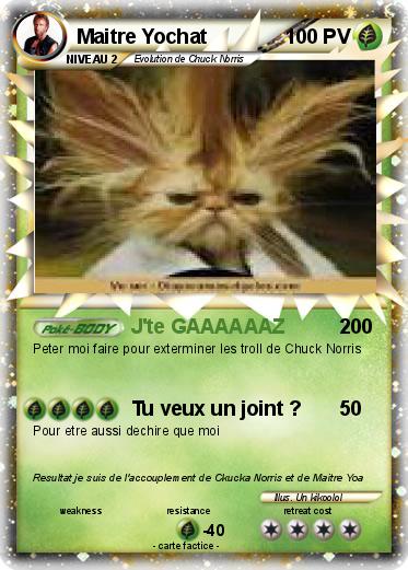 Pokemon Maitre Yochat