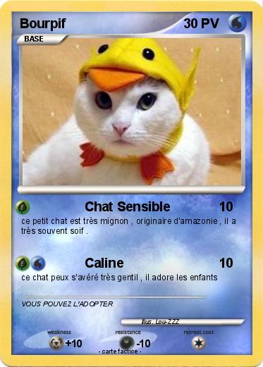 Pokemon Bourpif