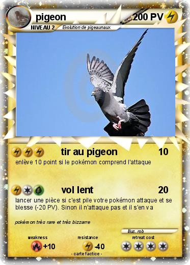 Pokemon pigeon