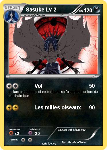 Pokemon Sasuke Lv 2