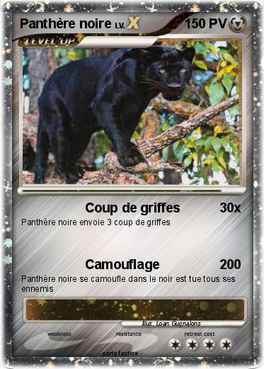 Pokemon Panthère noire