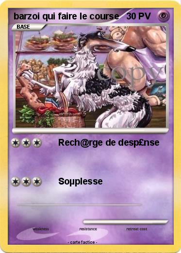 Pokemon barzoi qui faire le course