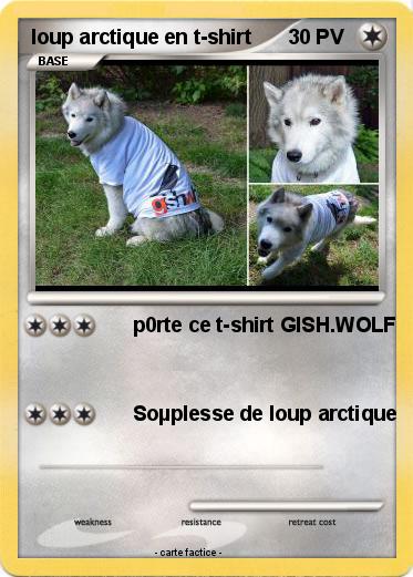 Pokemon loup arctique en t-shirt