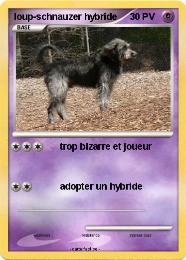 Pokemon loup-schnauzer hybride