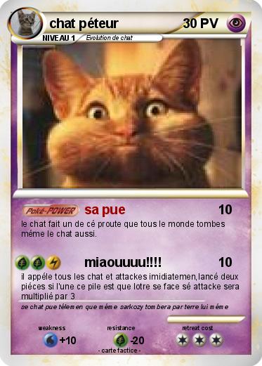 Pokemon chat péteur