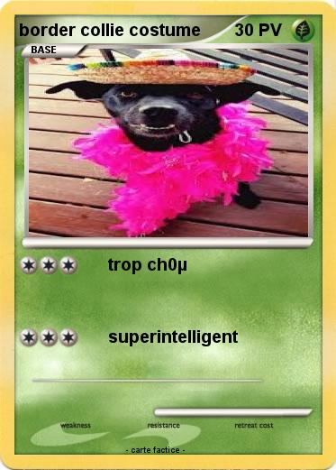 Pokemon border collie costume