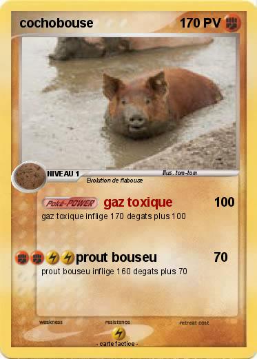 Pokemon cochobouse