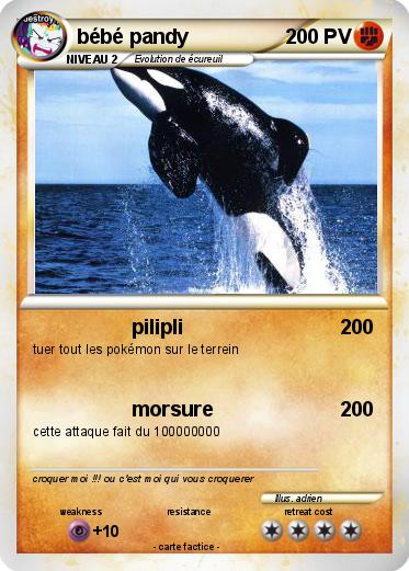 Pokemon bébé pandy