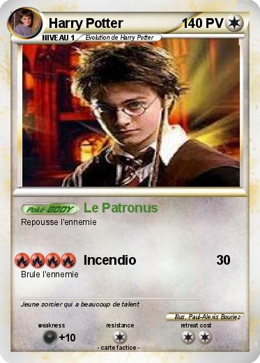 Pokemon Harry Potter