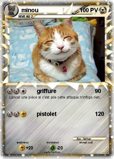 Pokemon minou