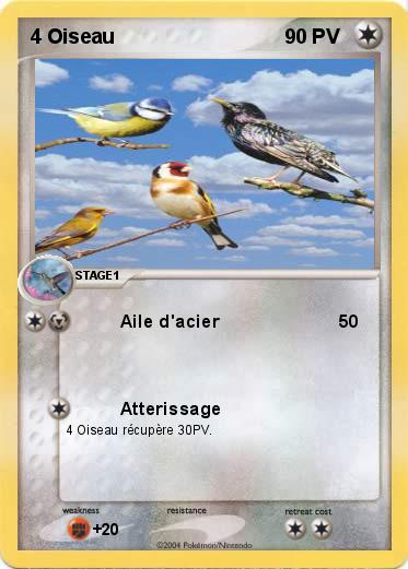 Pokemon 4 Oiseau