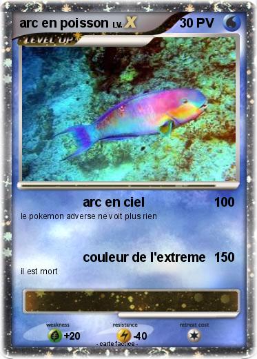 Pokemon arc en poisson