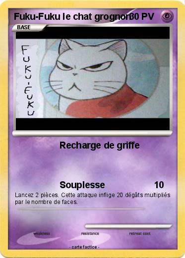 Pokemon Fuku-Fuku le chat grognon