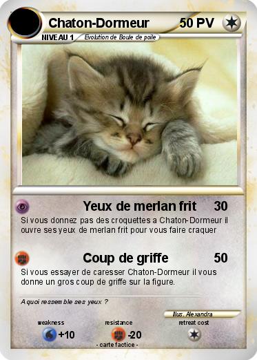 Pokemon Chaton-Dormeur