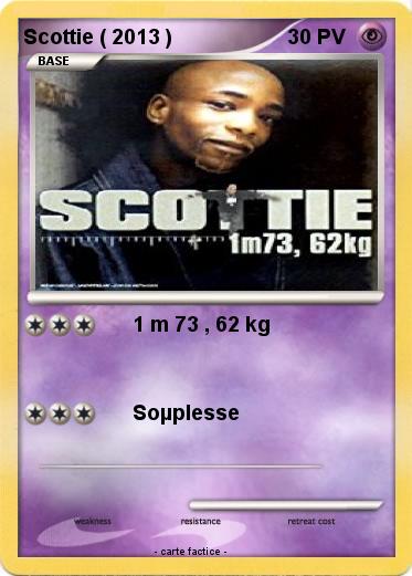 Pokemon Scottie ( 2013 )