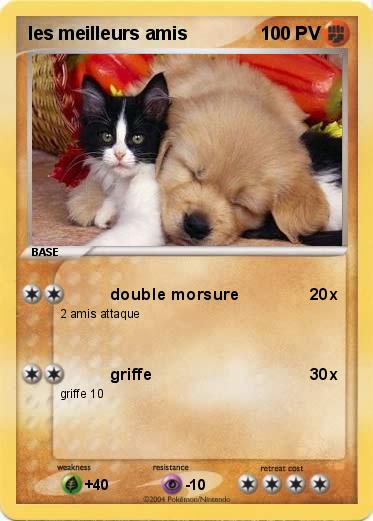 Pokemon les meilleurs amis