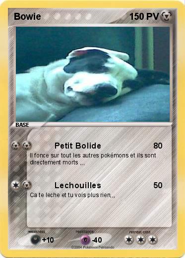 Pokemon Bowie