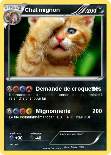 Pokemon Chat mignon