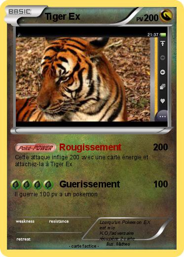 Pokemon Tiger Ex