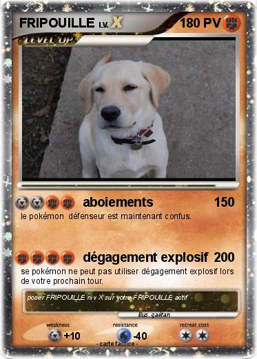 Pokemon FRIPOUILLE