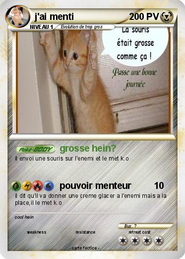 Pokemon j'ai menti
