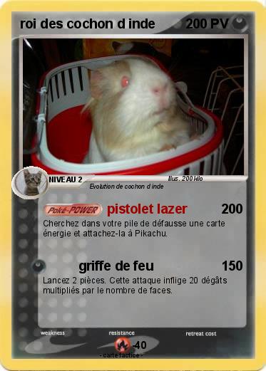 Pokemon roi des cochon d inde