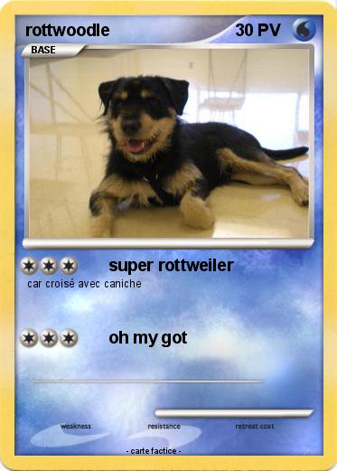 Pokemon rottwoodle