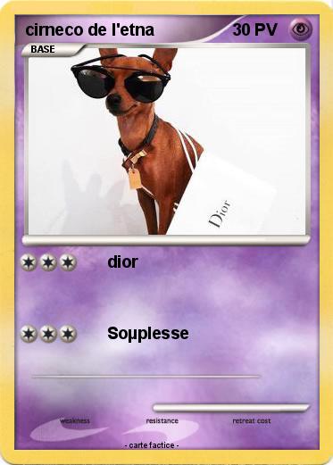 Pokemon cirneco de l'etna